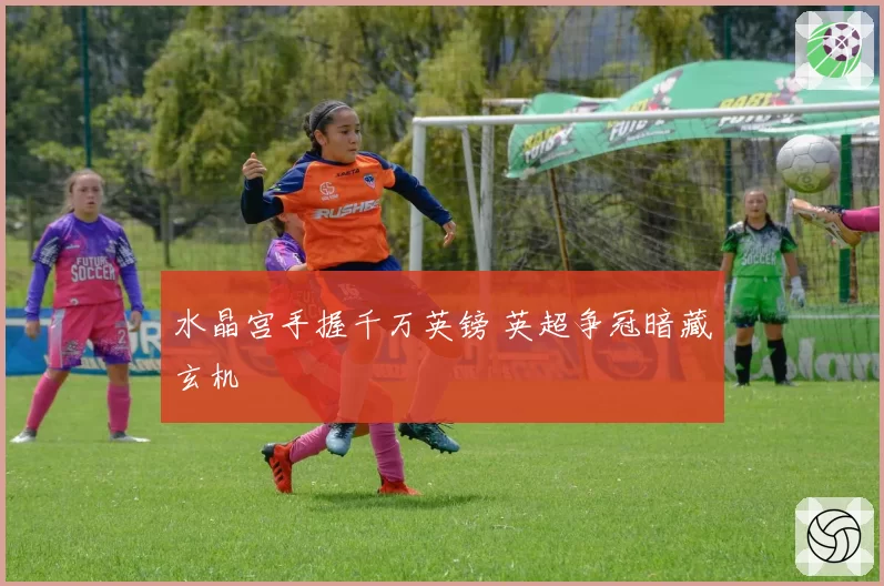 水晶宫手握千万英镑 英超争冠暗藏玄机
