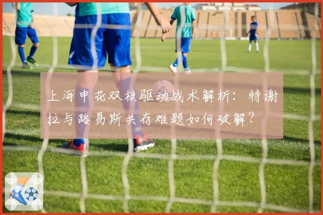 上海申花双核驱动战术解析:特谢拉与路易斯共存难题如何破解?