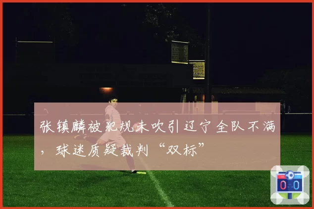 张镇麟被犯规未吹引辽宁全队不满，球迷质疑裁判“双标”