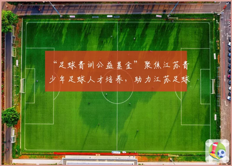 “足球青训公益基金”聚焦江苏青少年足球人才培养，助力江苏足球青训体系建设