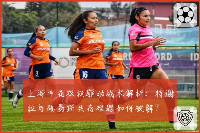 上海申花双核驱动战术解析:特谢拉与路易斯共存难题如何破解?