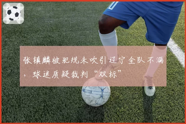 张镇麟被犯规未吹引辽宁全队不满，球迷质疑裁判“双标”